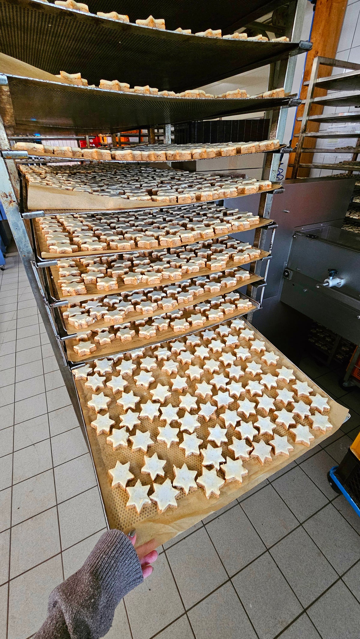 Zimtsterne